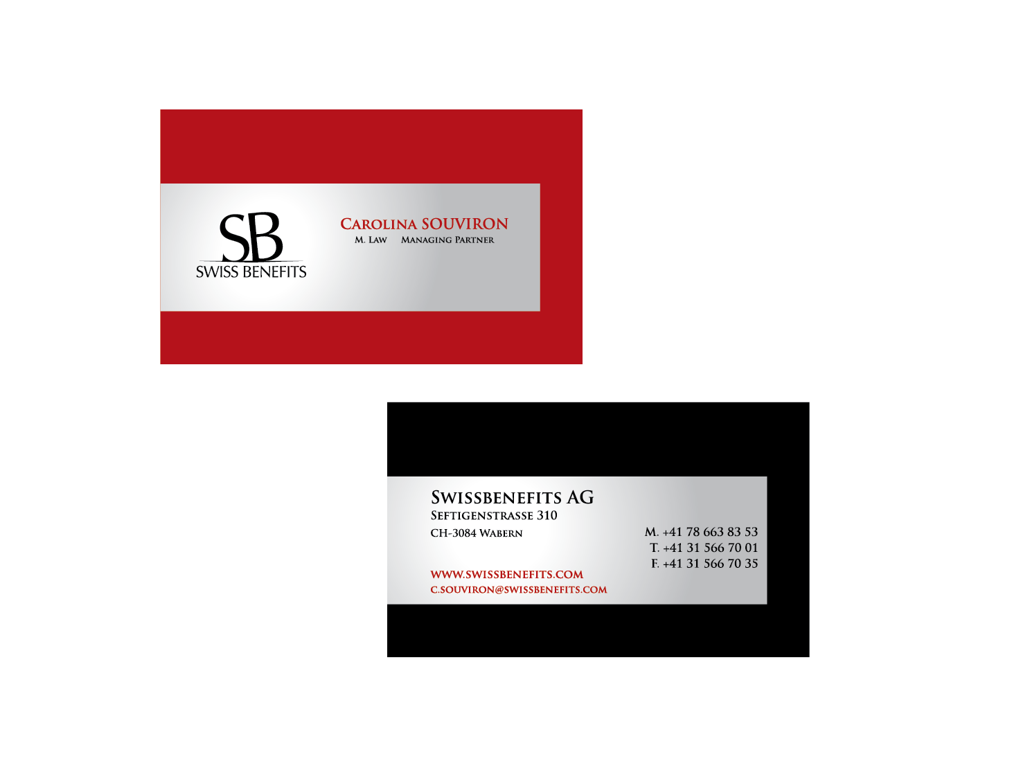 Business Card Design by shadez for this project | Design #2265449