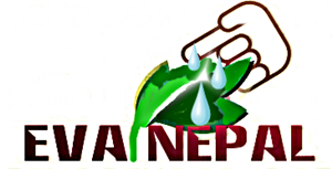 Logo Design by reena