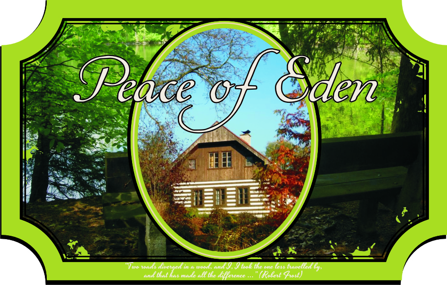 Logo Design by Angie Rundle for this project | Design #2266314
