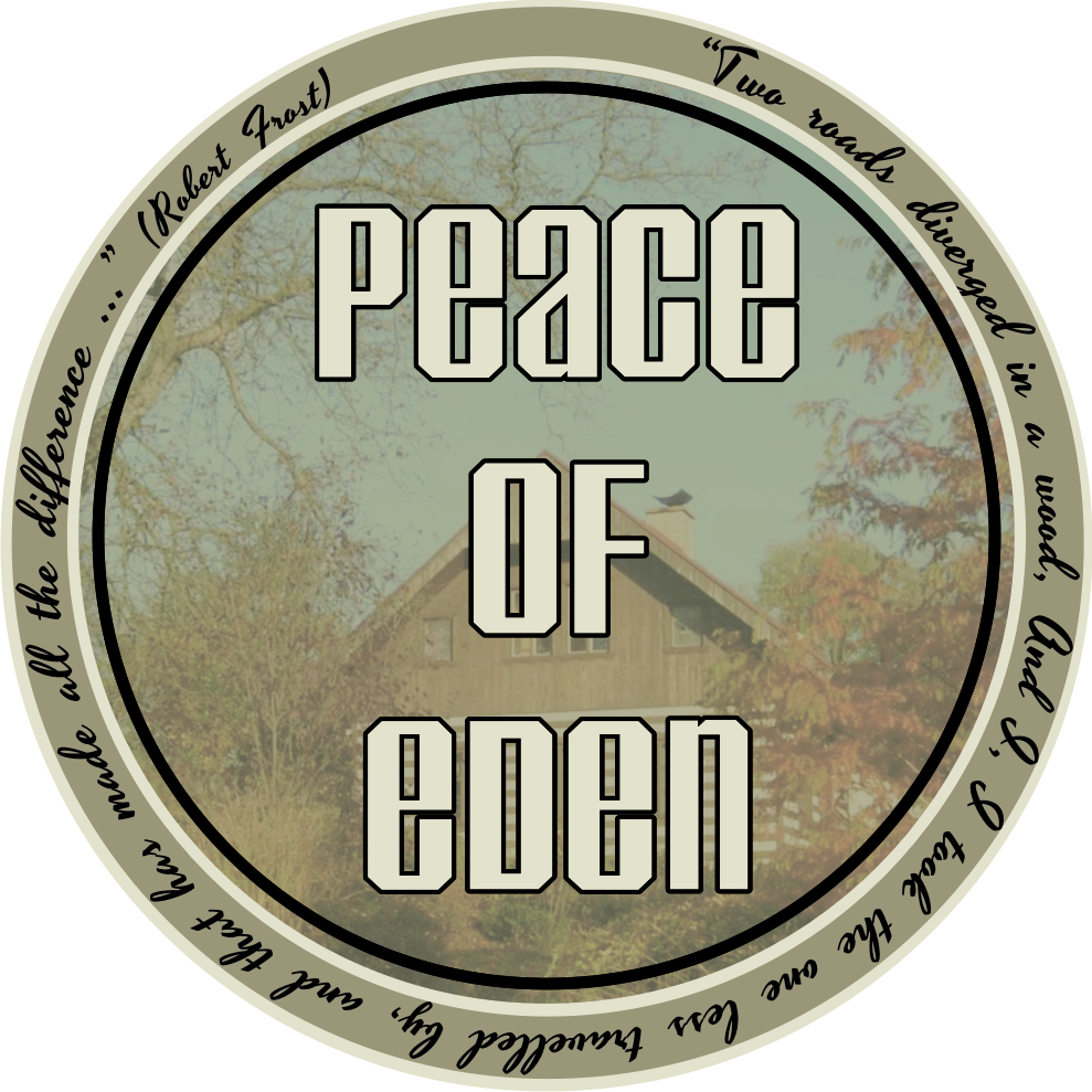 Design de Logo par Angie Rundle pour ce projet | Design #2290631