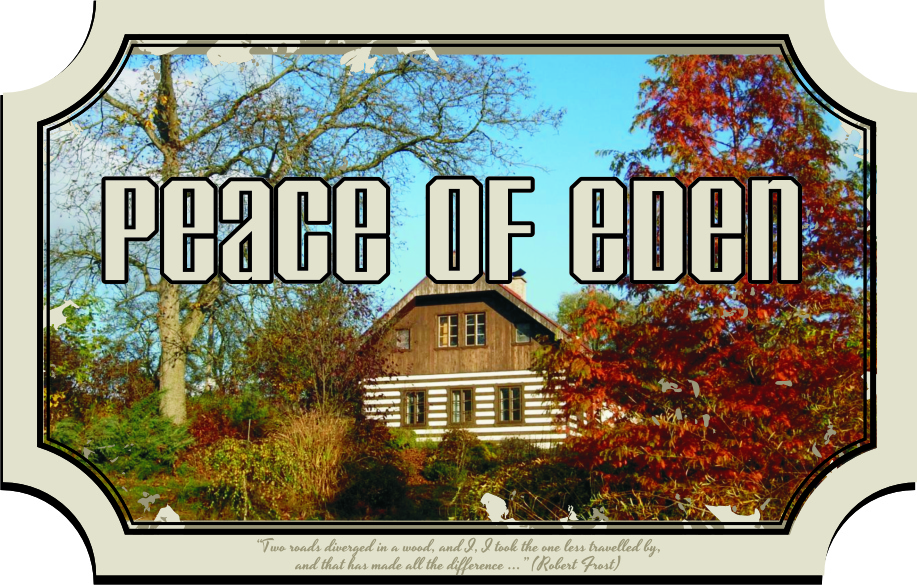 Logo Design by Angie Rundle for this project | Design: #2290635