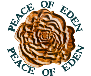 Logo Design by  Kat Phillips for this project | Design #2296974