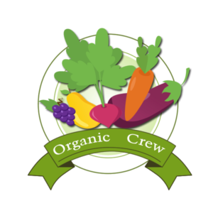 Logo Design by Infoway