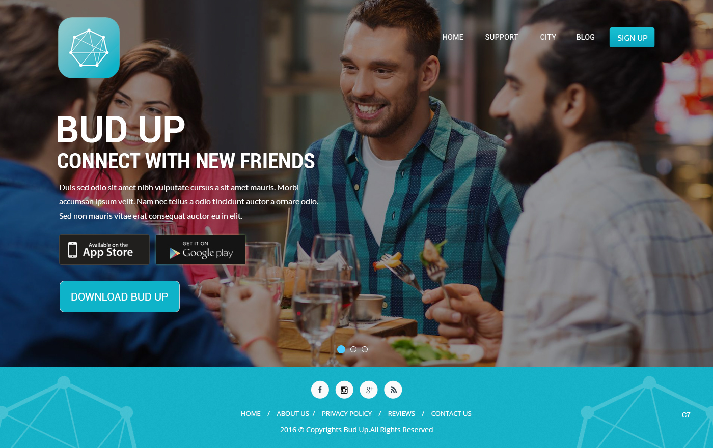 Landing Page Design by pb for Bud Up  | Design #10853800