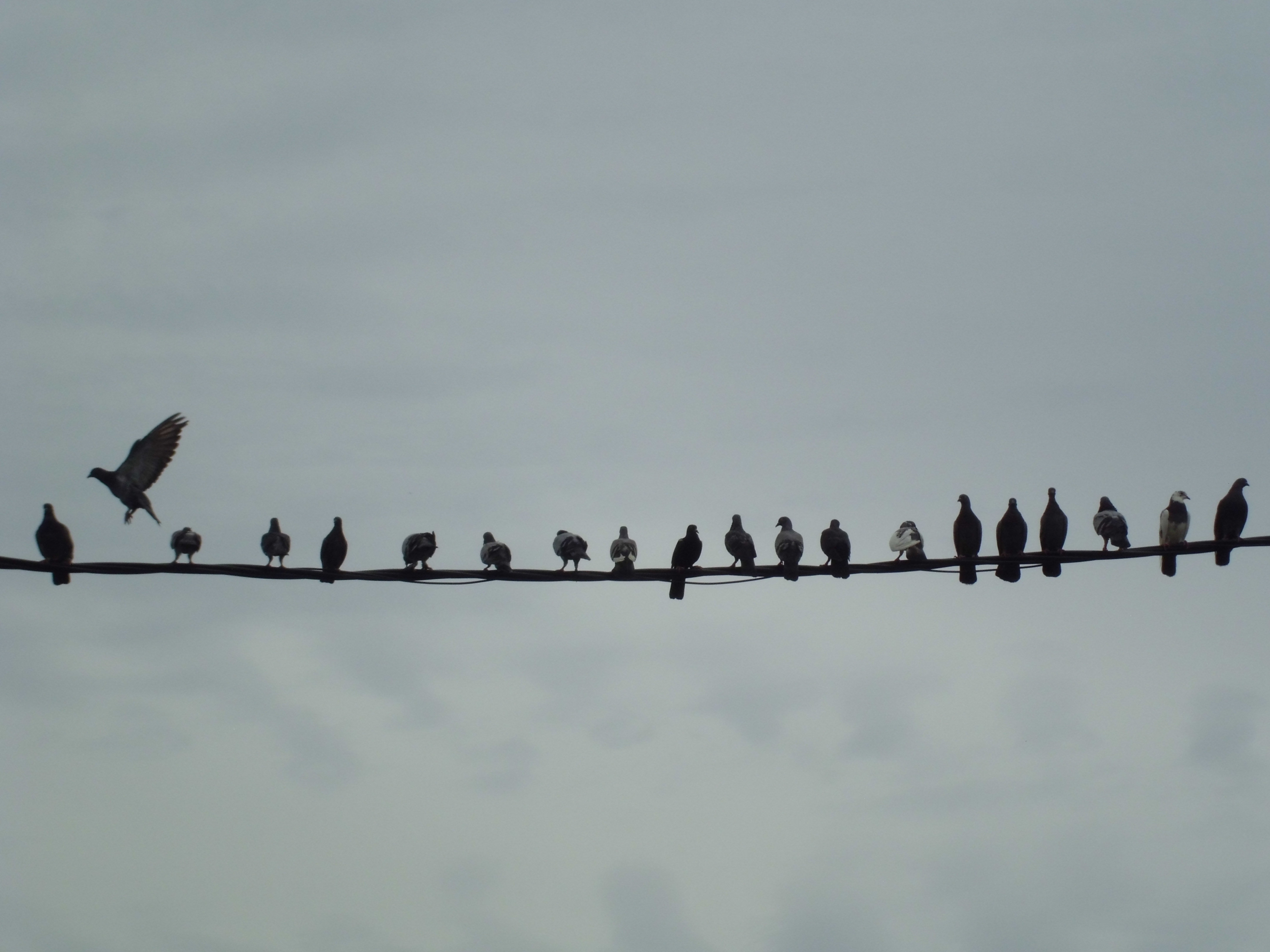 Photography by Alireza Mirzaei for DesignCrowd (Community Contests) | Design #10890875