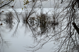 Photography by susanwfinn