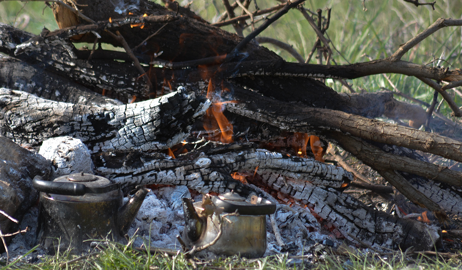 Fotografía por Bassam Saleh para DesignCrowd (Community Contests) | Diseño #10904324