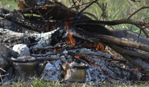 Photography by Bassam Saleh