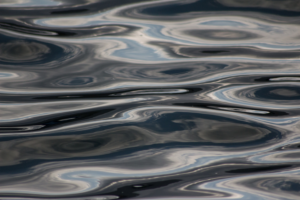 Photography by Arieli Elcharar