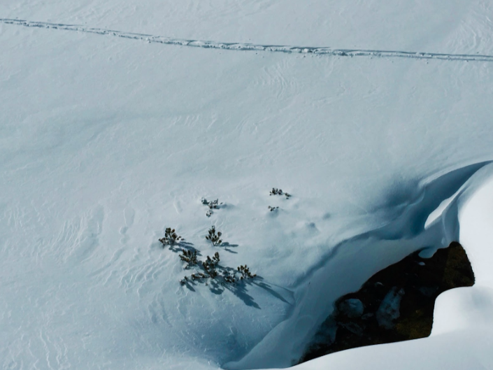 Photography by jisdekoel for DesignCrowd (Community Contests) | Design #10866880