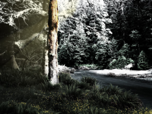 Photography by rmdsgn