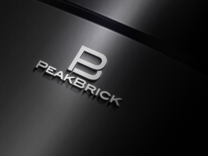 Logo Design by MD Alamgir Hussain for Peackbrick | Design: #10865927