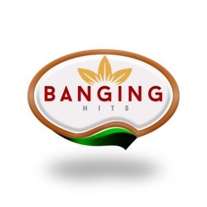 Diseño de Logo por Creativ Houz para BANGINGHITS | Diseño: #10855873