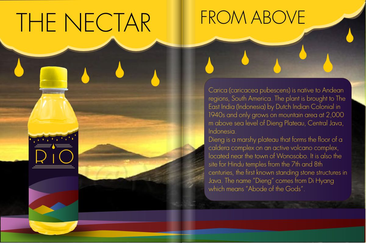 Packaging Design by  Alex.V [Tantra Rama Prod.] for this project | Design #2298553