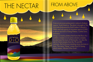 Packaging Design by  Alex.V [Tantra Rama Prod.] for this project | Design: #2298553