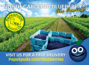 Stationery Design by Jackie Morrison for this project | Design: #10868735