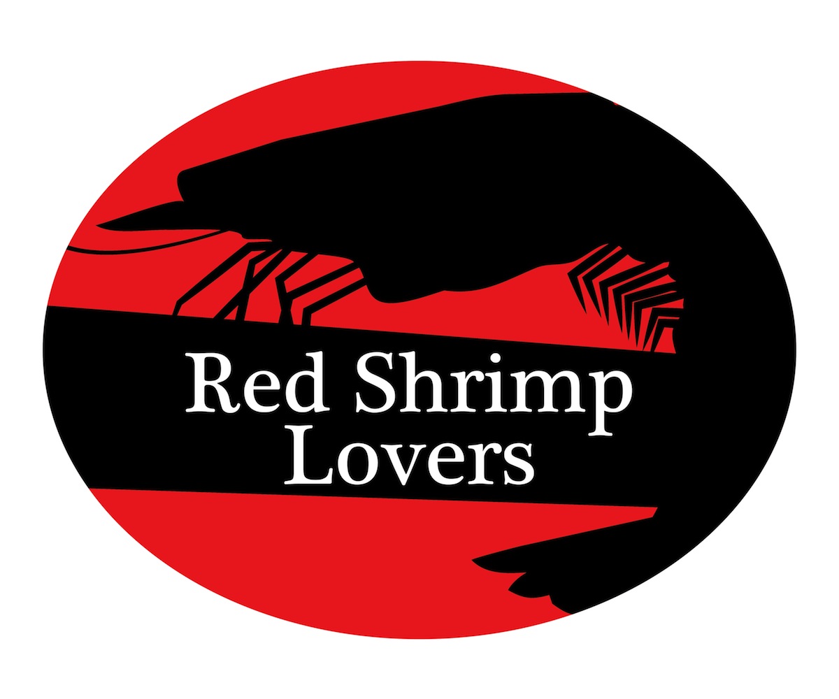 Logo Design by Chynna for this project | Design #2255439