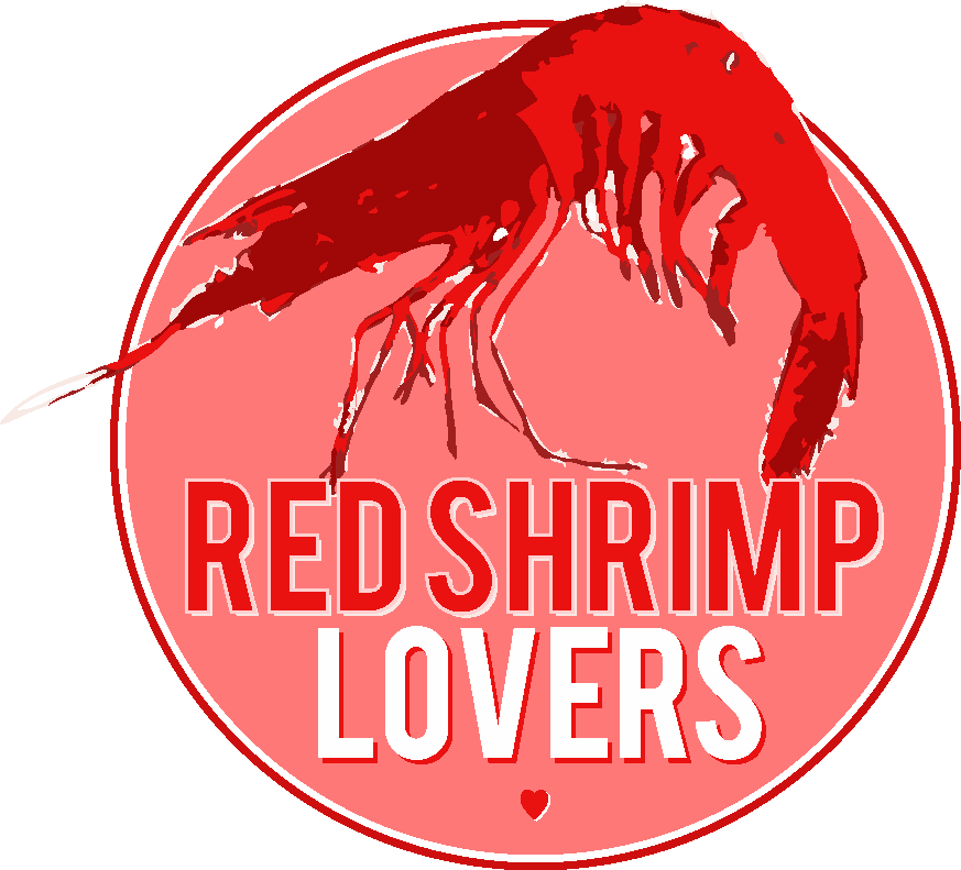 Logo Design by aimee capstick for this project | Design #2254639