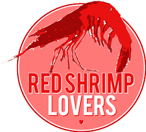 Logo-Design von aimee capstick für dieses Projekt | Design #2254639