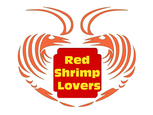 Logo Design by Madhurima