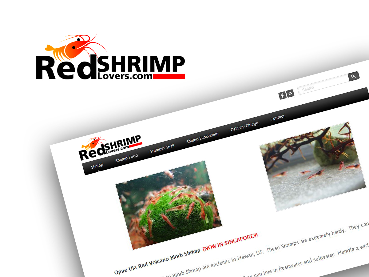 Logo Design by vladst2004 for this project | Design #2255227