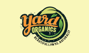 Design de Logo par designguru