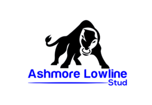 Logo Design by EGYPT KING for Ashmore Lowline Stud | Design: #10862370