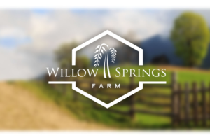 Logo Design by TRHZ for this project | Design: #10896411