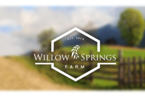 Logo Design by TRHZ for this project | Design: #10899248