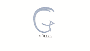 Logo Design by Vinayak Dodagoudar