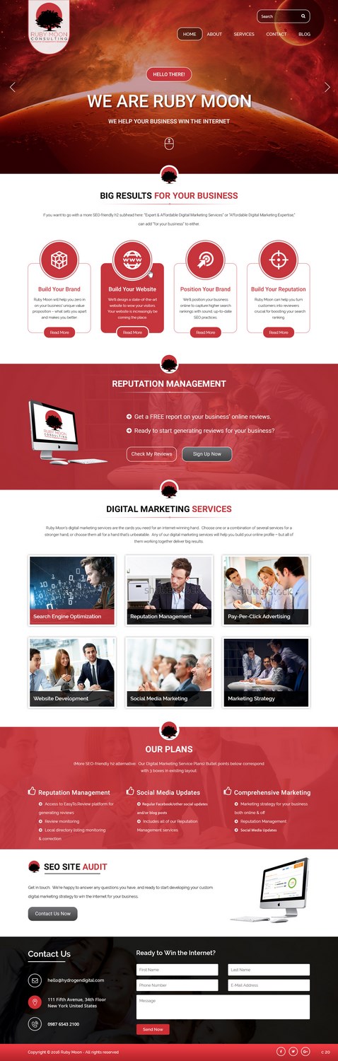 Web Design by pb for Ruby Moon Consulting | Design #10877630