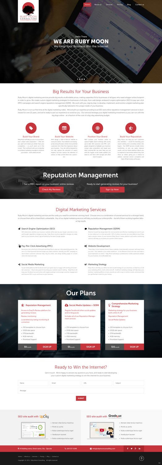 Web Design by pb for Ruby Moon Consulting | Design #10877640