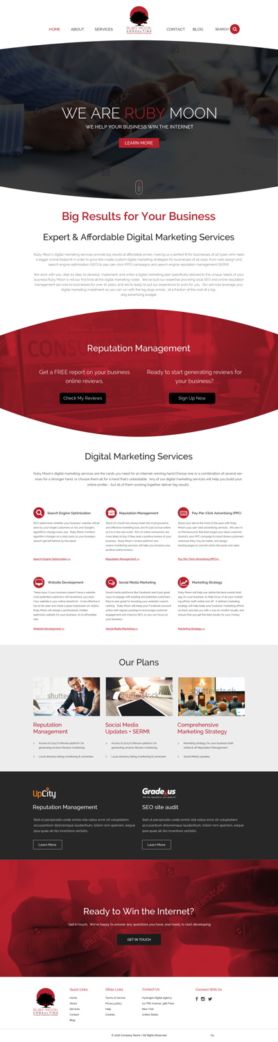 Web Design by pb for Ruby Moon Consulting | Design #10884606