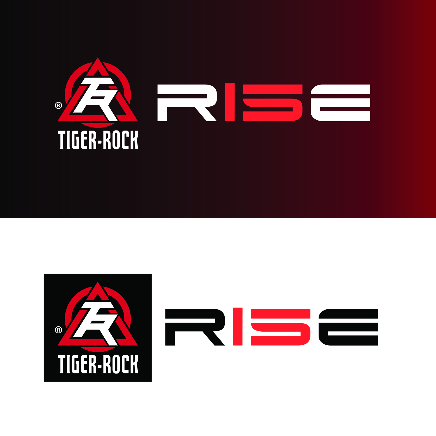Logo Design by Taiki Design for Tiger-Rock Martial Arts | Design #10870027