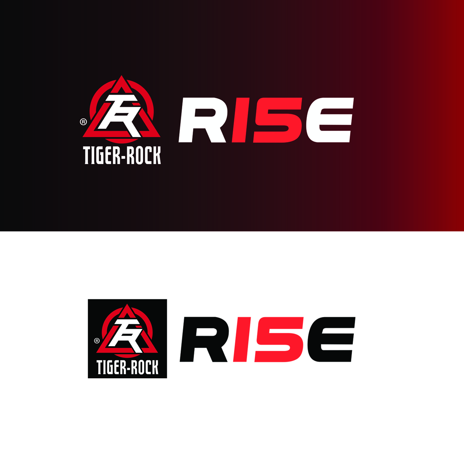 Logo Design by Taiki Design for Tiger-Rock Martial Arts | Design #10870031