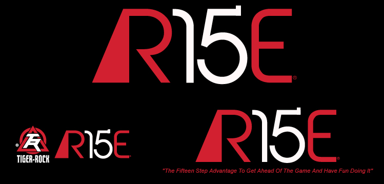 Logo Design by Awesomeness for Tiger-Rock Martial Arts | Design #10869210