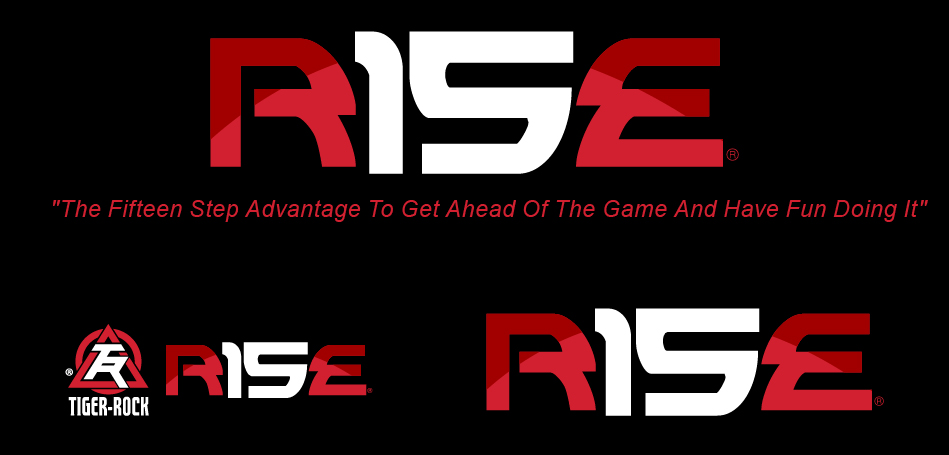 Logo Design by Awesomeness for Tiger-Rock Martial Arts | Design #10869212