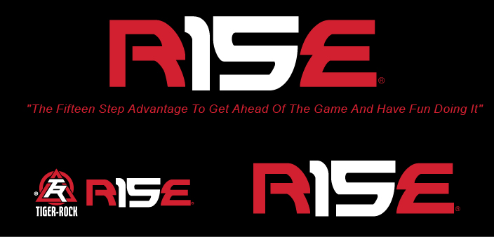 Logo Design by Awesomeness for Tiger-Rock Martial Arts | Design #10869214