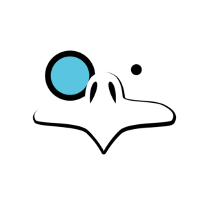 Logo Design by Angus Grafik Co.