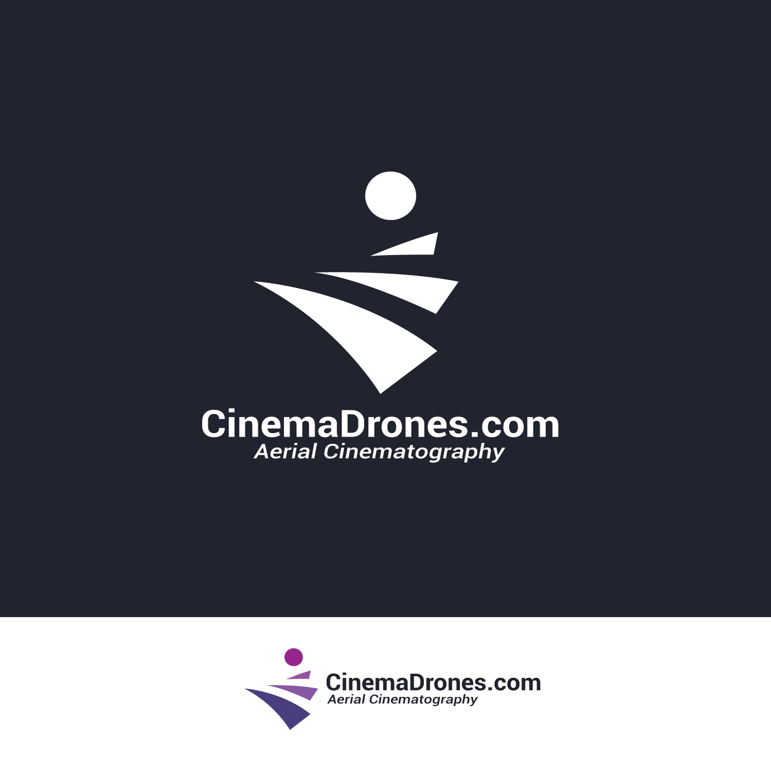 Logo Design by anonrotide for TheMotionPictureCo.com | Design #11025353