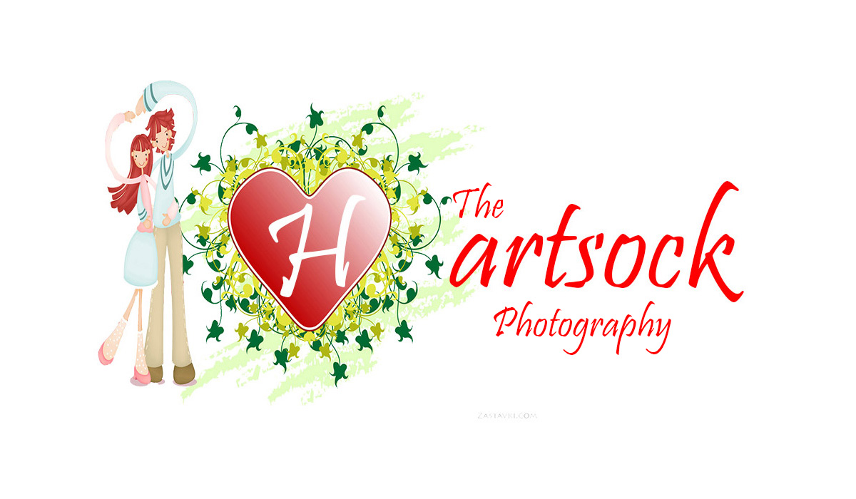 Logo Design by Ruby  for this project | Design #2262698