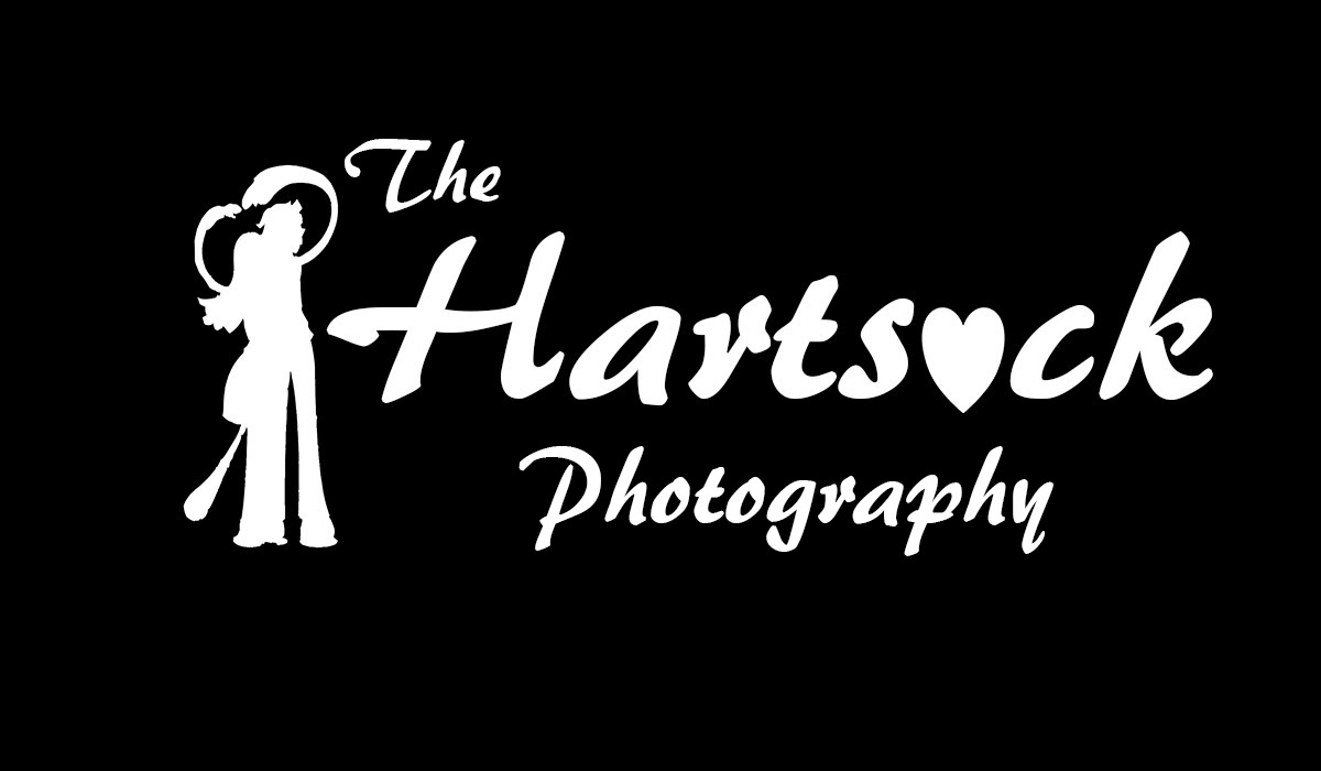 Logo Design by Ruby  for this project | Design #2262699