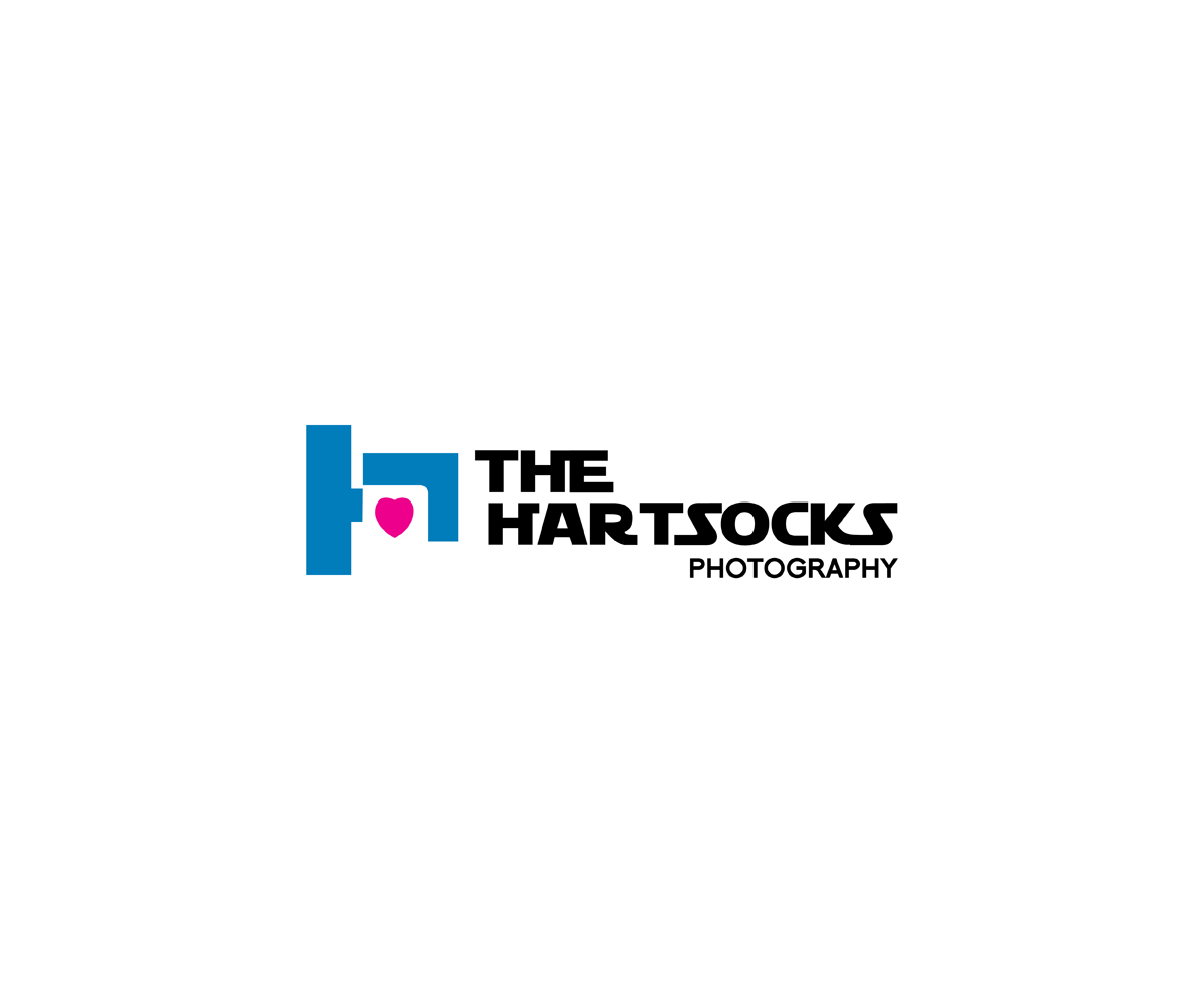 Logo Design by vigil raj for this project | Design #2259972