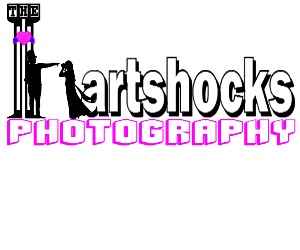 Logo Design by steve_rheza for this project | Design: #2261613