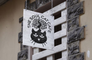 Logo Design by GLDesigns for this project | Design: #10889999