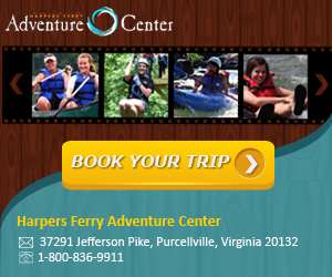 Banner Ad Design by Karolin for this project | Design: #2294859