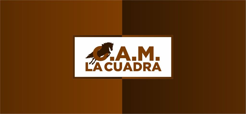 Logo Design by Zeeshan for this project | Design #10909911