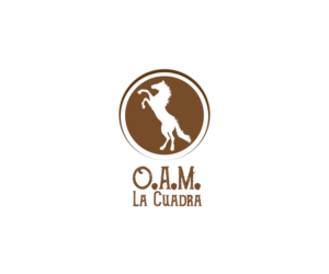 Design de Logo par kostasftp pour ce projet | Design : #10905689