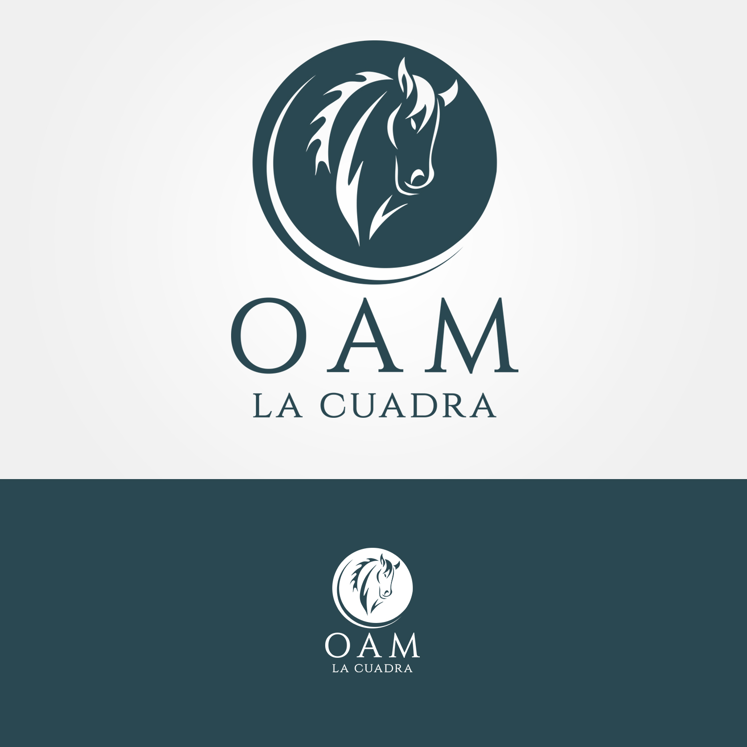 Logo Design by GRAFFYC for this project | Design #10895093