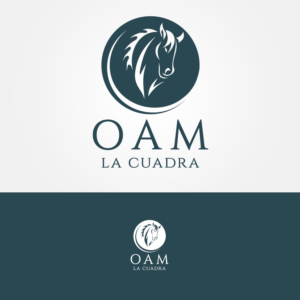 Design de Logo par GRAFFYC pour ce projet | Design : #10895093